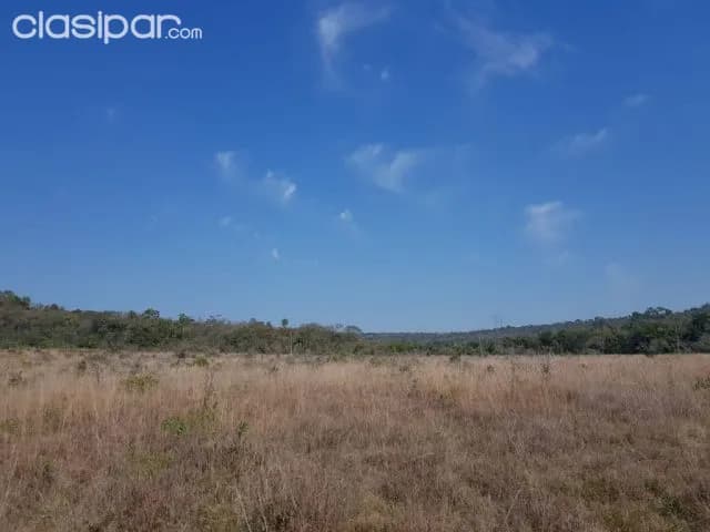 Nueva colombia – cordillera: 102 has de campo, a 37 km de Asunción, 65.000.000 gs / ha — foto 4