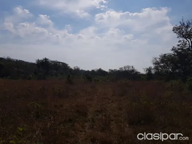 Nueva colombia – cordillera: 102 has de campo, a 37 km de Asunción, 65.000.000 gs / ha — foto 5