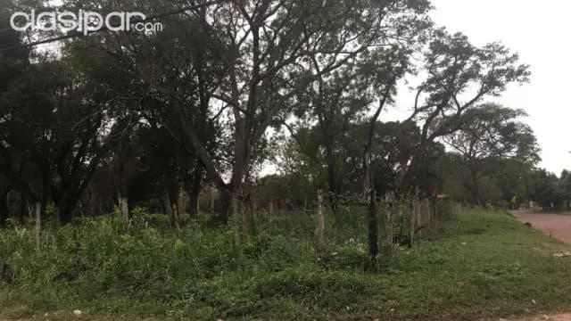 Ñemby, acc. Sur: 2.2250 m2 – hermoso terreno en esquina p/ emprendimientos inmobiliarios, foto 4