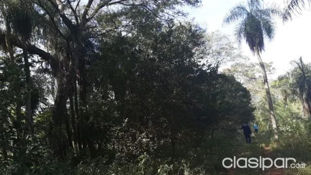 Propiedad de 5 HECTAREAS en Ypane en Oferta Hermosa vejetacion por este mes !, foto 4
