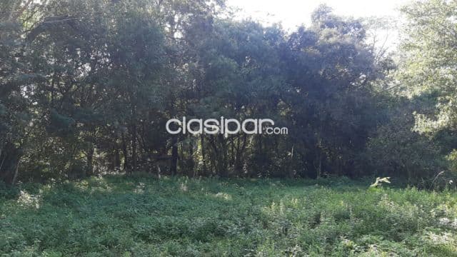 Propiedad de 5 HECTAREAS en Ypane en Oferta Hermosa vejetacion por este mes !, foto 1