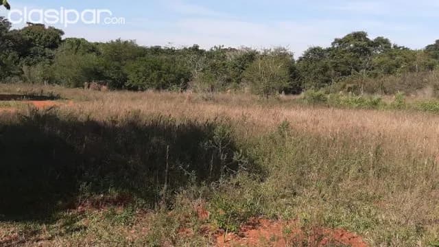 Propiedad en Ypane OFERTA 4 Ha. zona Rosado Guazu haga una buena inversión!! — foto 2