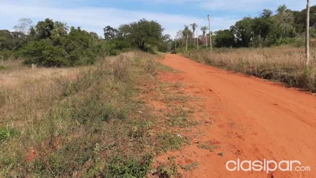 Propiedad en Ypane OFERTA 4 Ha. zona Rosado Guazu haga una buena inversión!! — foto 4