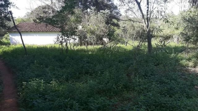 Propiedad en Ypane OFERTA 4 Ha. zona Rosado Guazu haga una buena inversión!! — foto 5