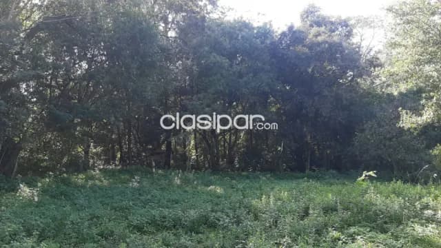 Propiedad de 9 Ha. Capiata Ruta 2 Km 24 a 2 km, Incomparable, exclusivo y unico !!, foto 3