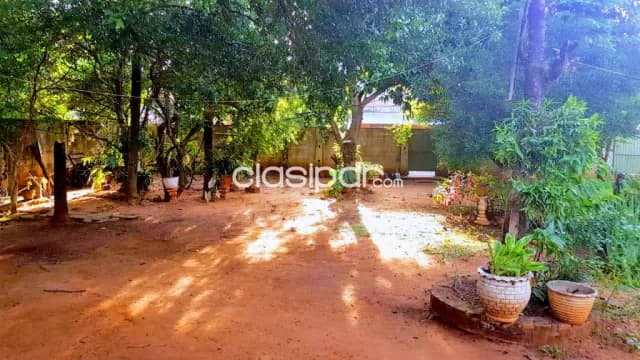 Casa tercer barrio de Luque — foto 5