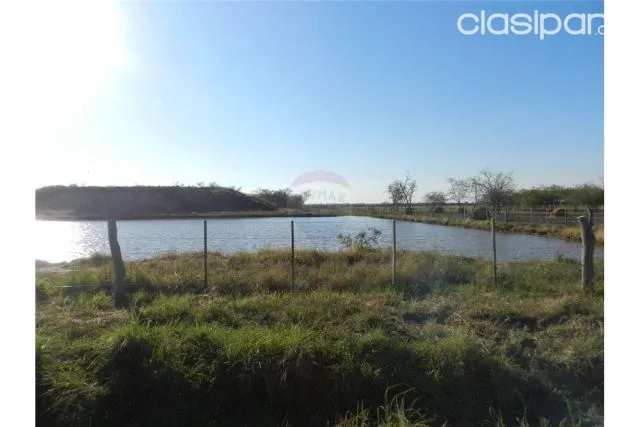DE ESTANCIA con Titulo Privado 7,494,800,000 ₲, foto 2