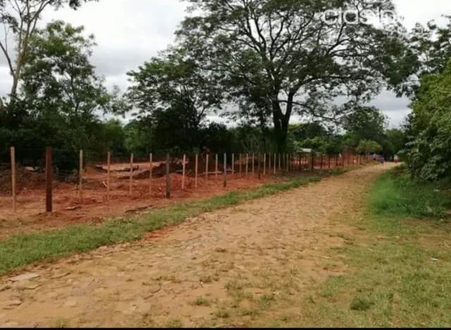 Limpio – salado (a 3 cuadras de asfalto): 1.2 has, ideales p/ desarrollos inmobiliarios — foto 5