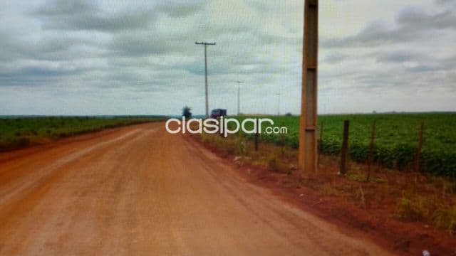 Alto paraná 390 has agroganadera zona de santa rita cercanías del asfalto, foto 1