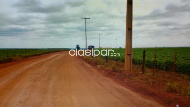 Alto paraná 390 has agroganadera zona de santa rita cercanías del asfalto, foto 2