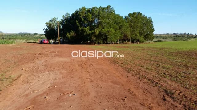 Alto paraná 390 has agroganadera zona de santa rita cercanías del asfalto, foto 3