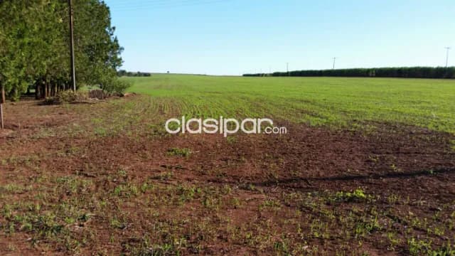Alto paraná 390 has agroganadera zona de santa rita cercanías del asfalto, foto 4