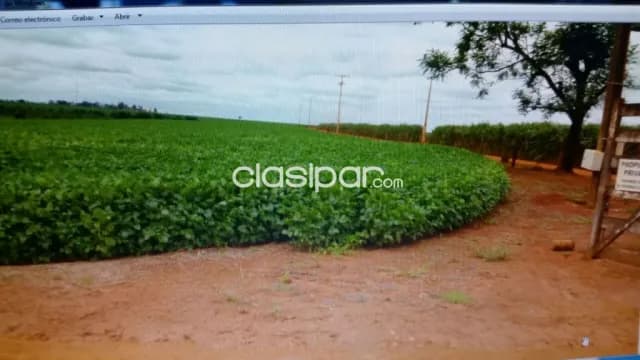 Alto paraná 390 has agroganadera zona de santa rita cercanías del asfalto, foto 5