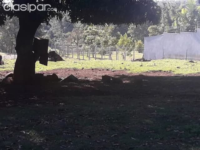 Terreno Zona Capitan Miranda — foto 2