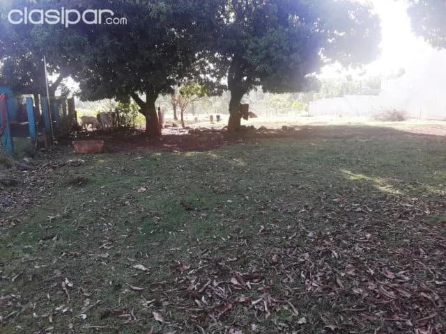 Terreno Zona Capitan Miranda — foto 4