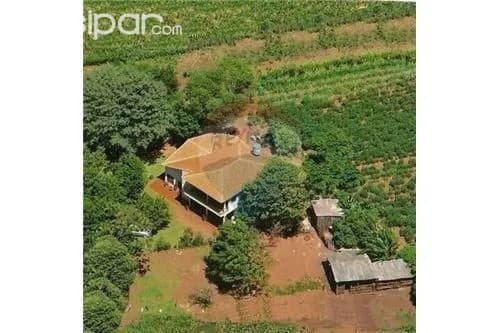 17 ha con casona, zona muy productiva 320,000 usd — foto 2