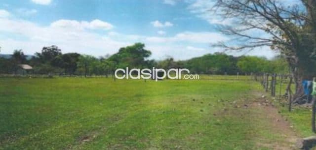 Terreno de 4 Ha en Ypacaraí — foto 1