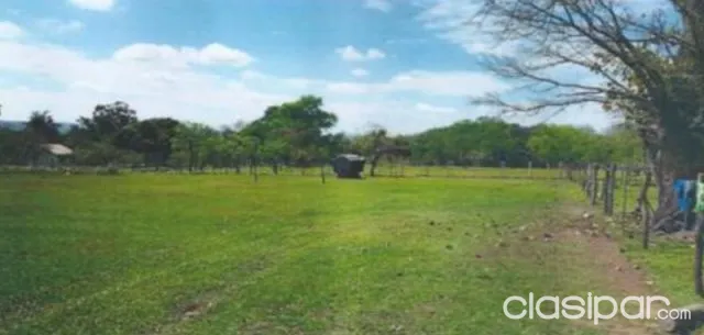 Terreno de 4 Ha en Ypacaraí — foto 2
