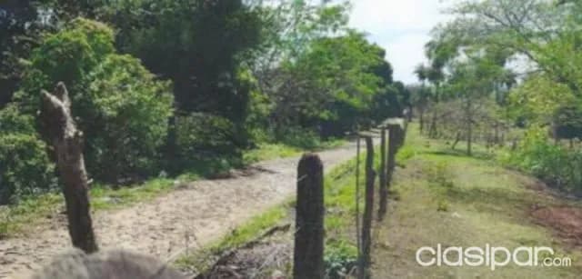 Terreno de 4 Ha en Ypacaraí — foto 3