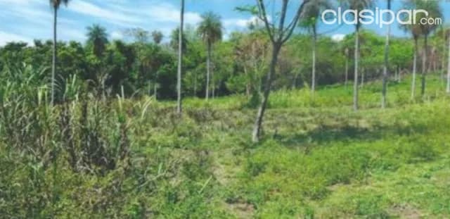 Terreno de 4 Ha en Ypacaraí — foto 5