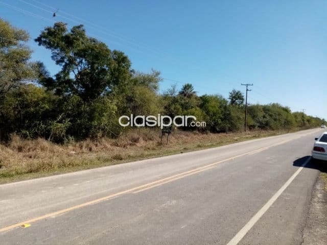 Pto. Falcón – mega oferta s/ruta: Magnificas 45 has, ideales p/ desarrollos inmobiliarios, foto 1