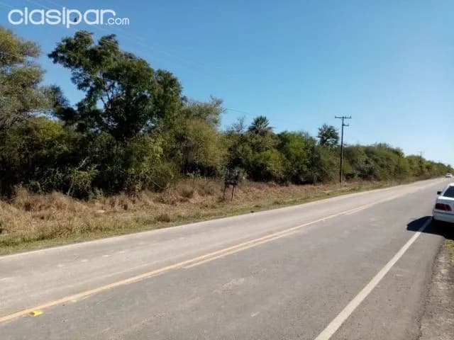 Pto. Falcón – mega oferta s/ruta: Magnificas 45 has, ideales p/ desarrollos inmobiliarios, foto 2