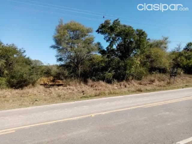 Pto. Falcón – mega oferta s/ruta: Magnificas 45 has, ideales p/ desarrollos inmobiliarios, foto 3