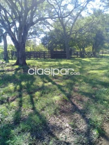 Sapucai – escobar, acahay: 32 has, ideales p/ plantación y ganado, arroyos, bosque