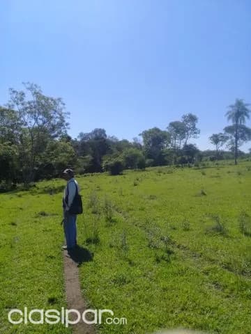 Sapucai – escobar, acahay: 32 has, ideales p/ plantación y ganado, arroyos, bosque — foto 3