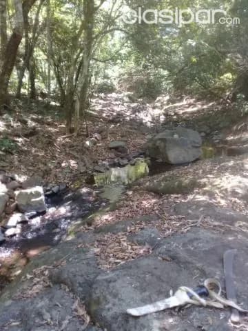 Sapucai – escobar, acahay: 32 has, ideales p/ plantación y ganado, arroyos, bosque — foto 5