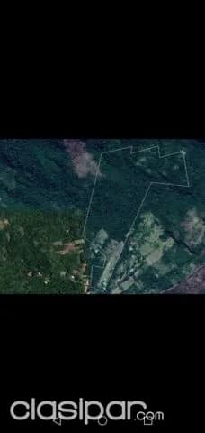 Escobar – paraguarí: 31 has en venta – bosques, arroyos ideal p/ granja o quinta — foto 2