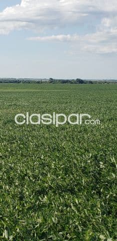 Santa rosa misiones vendo tierra agrícola de 180 has