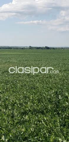 Santa rosa misiones vendo tierra agrícola de 180 has, foto 2