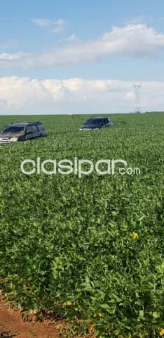 Santa rosa misiones vendo tierra agrícola de 180 has, foto 3