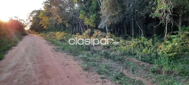 Oferta de 6 ha.en Nueva Colombia, foto 3