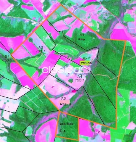 Juan e oleary – alto parana: Estancia modelo en venta, 4.000 has, 7.500 usd/ha — foto 2