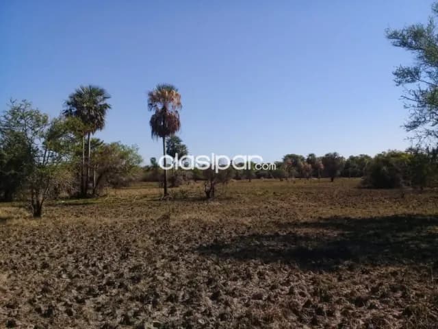 Benjamín aceval - rio confuso: 103 has, fraccionables, sobre río, 2.500.000.000 gs — foto 3