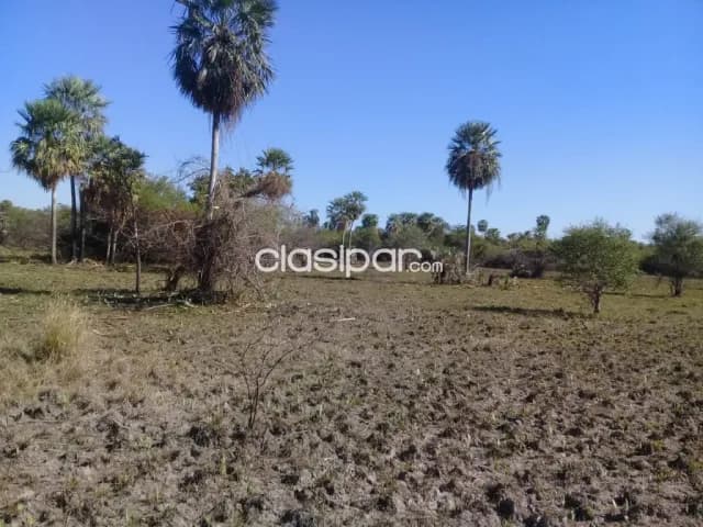 Benjamín aceval - rio confuso: 103 has, fraccionables, sobre río, 2.500.000.000 gs — foto 4