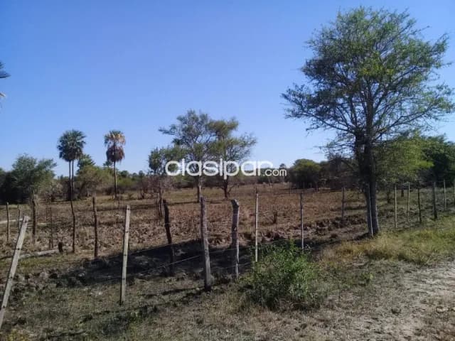 Benjamín aceval - rio confuso: 103 has, fraccionables, sobre río, 2.500.000.000 gs — foto 5