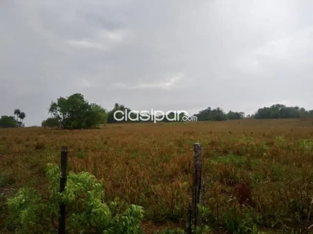 Campo Agrícola/Ganadero en Nueva Germania - 125 Ha — foto 3
