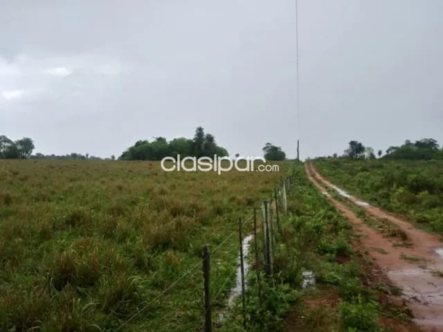 Campo Agrícola/Ganadero en Nueva Germania - 125 Ha — foto 5