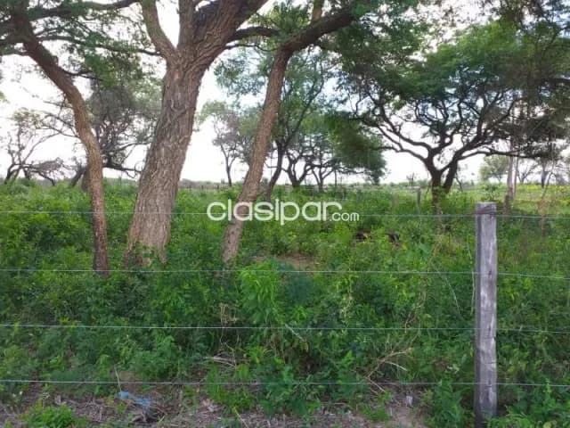 Hermoso Lote en San Bernardino, Paraguay. (ID695), foto 2