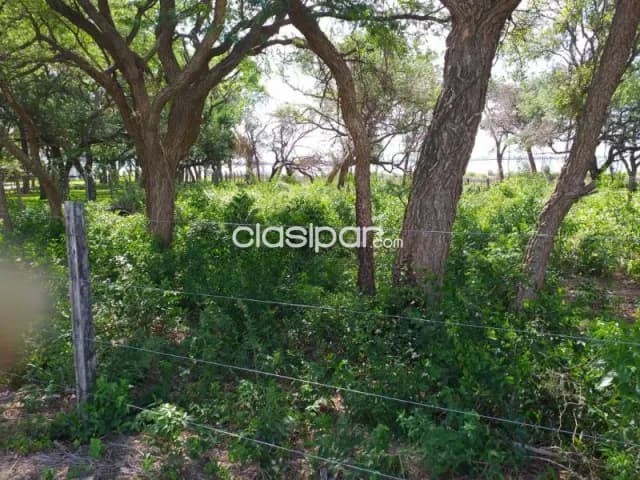 Hermoso Lote en San Bernardino, Paraguay. (ID695), foto 4