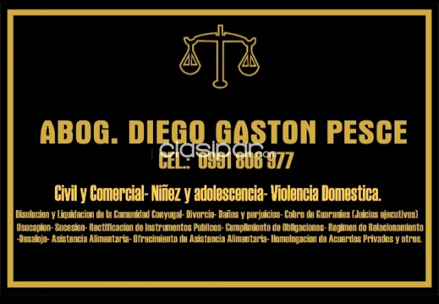 ABOGADO- Asuntos Civiles y Comerciales- Niñez y Adolescencia, foto 2