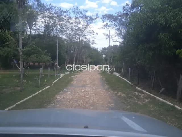 Loma grande – altos, maravillosas 40 has, ubicación ideal, 50.000.000 gs/ha — foto 2