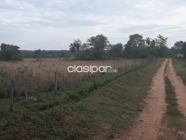 Loma grande – altos, maravillosas 40 has, ubicación ideal, 50.000.000 gs/ha — foto 3