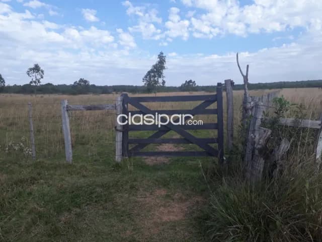 Loma grande – altos, maravillosas 40 has, ubicación ideal, 50.000.000 gs/ha — foto 4