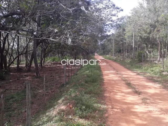Loma grande – altos, maravillosas 40 has, ubicación ideal, 50.000.000 gs/ha — foto 5