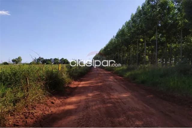 Lote de 5 has. En hernandarias 800,000,000 ₲, foto 2