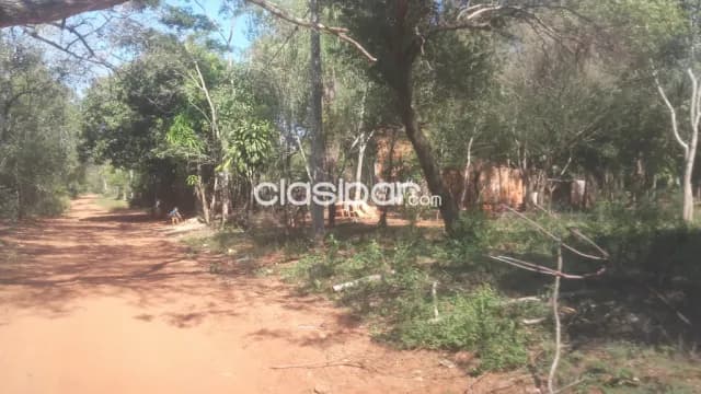 Terreno en Luque a cuotas recuperado Aproyeche YA — foto 2